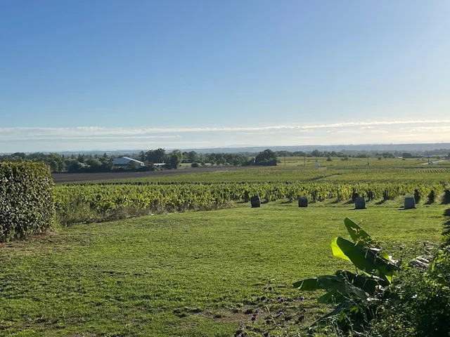 Espaces communs avec vue sur le vignoble du Beaujolais